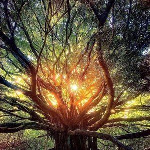 Meet your Posher, Lee